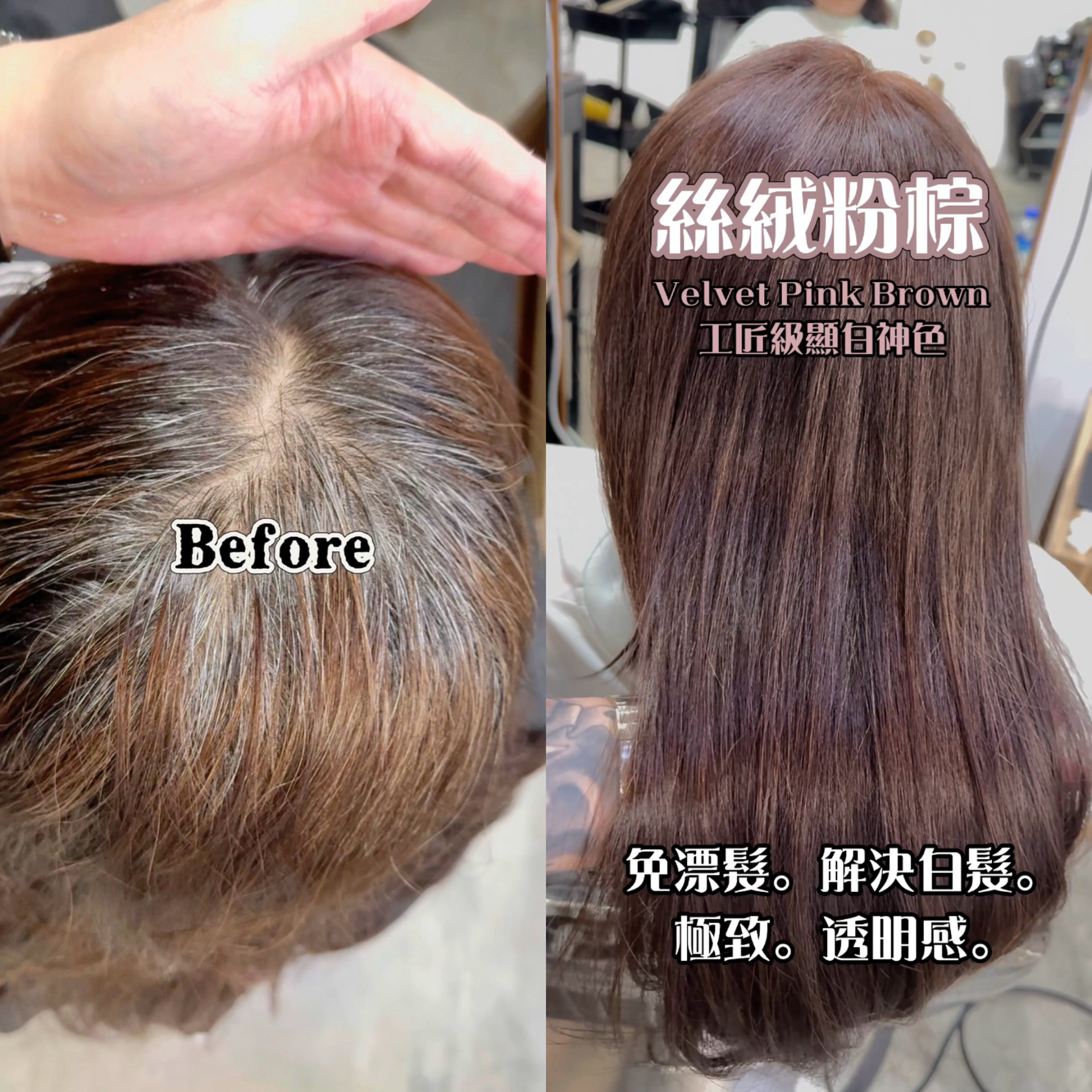 士林染髮-白髮染髮-長髮染髮-士林護髮-黑曜光感護髮-nomadhair
