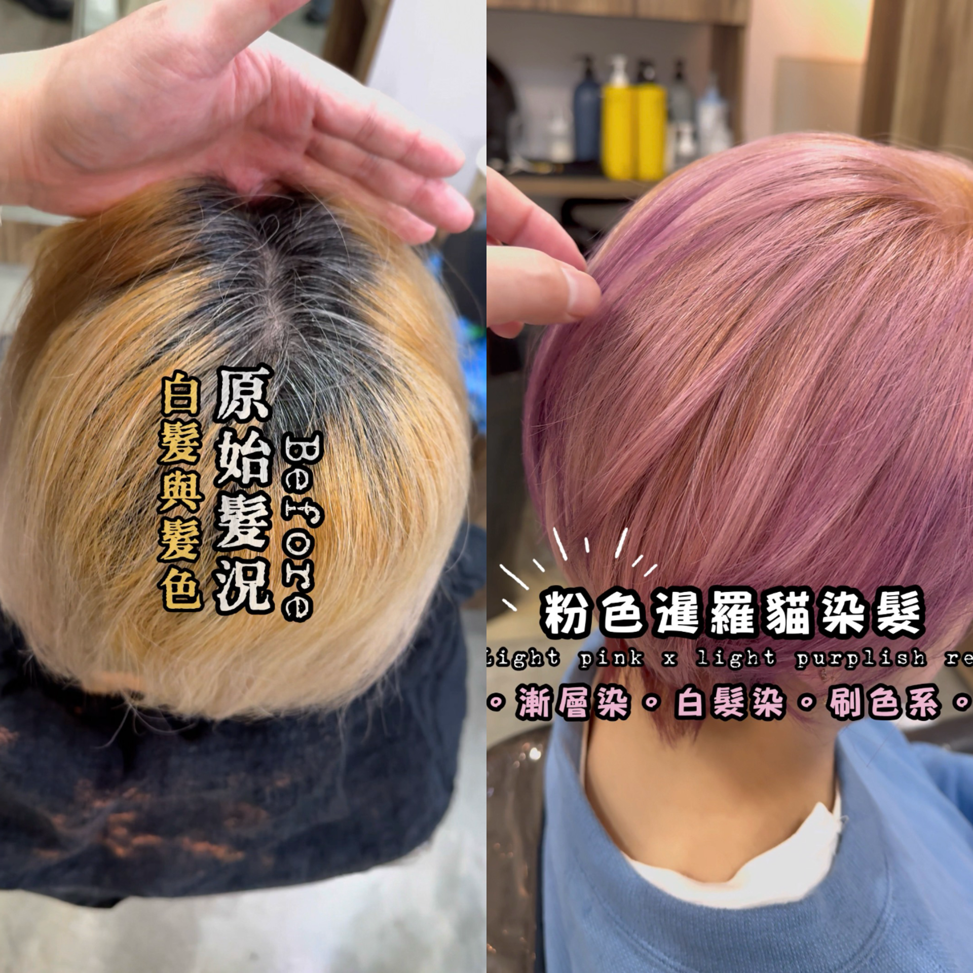士林染髮-白髮共存-暹羅貓染髮-nomadhair-士林護髮olaplex